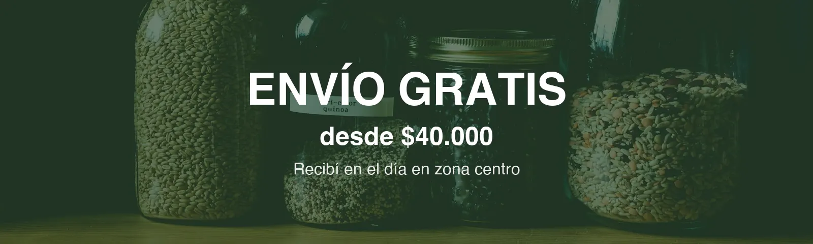 Envío gratis desde $40.000